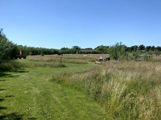 Vakantiehuis Fanø Bad  20