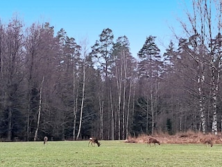 Holiday house Storfors  8