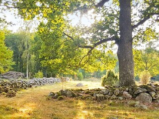 Vakantiehuis Axvall Buitenaudio-opname 3