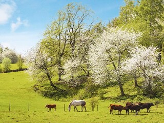 Vakantiehuis Axvall Buitenaudio-opname 10