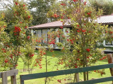 Holiday apartment De Wonne - Texel
