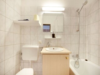 Appartamento Bad Goisern Caratteristiche 20