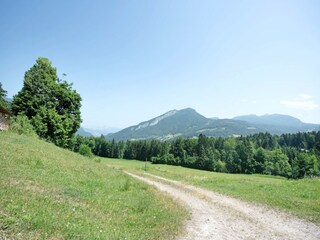 Apartment Bad Goisern Environment 22