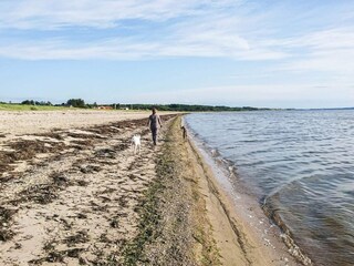 Vakantiehuis Trend  18