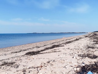 Ferienhaus Trend  38