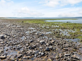 Ferienhaus Trend  13