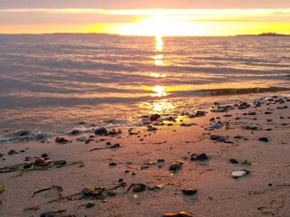 Ferienhaus Trend  24