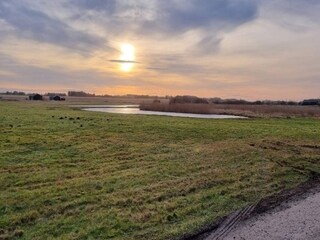 Vakantiepark Hejlsminde Buitenaudio-opname 5