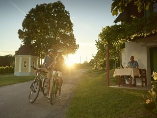 Appartement Lutzmannsburg Omgeving 23