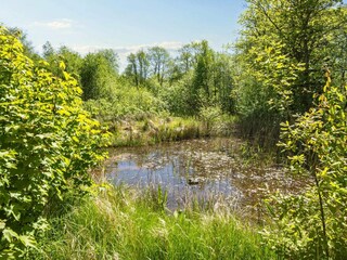 Vakantiehuis Hemmet  15