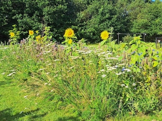 Holiday house Hemmet  7