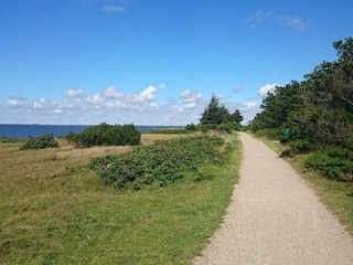 Holiday house Hemmet  9