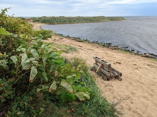 Holiday house Hemmet  10