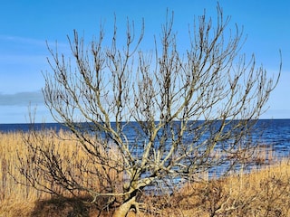 Holiday house Hemmet  36