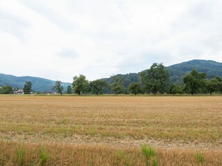 Casa de vacaciones Gmunden Entorno 5