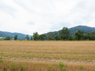 Vakantiehuis Gmunden Omgeving 34