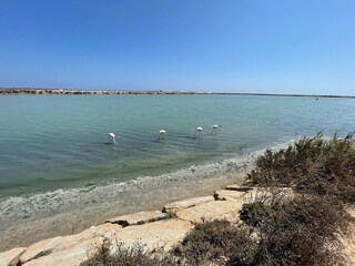 Apartment Formentera del Segura Umgebung 25