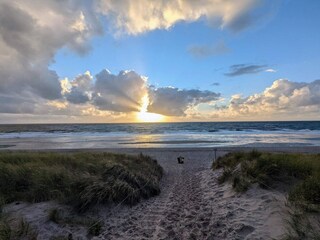 Vakantiehuis Bjerregård  24