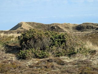 Casa de vacaciones Bjerregård  10