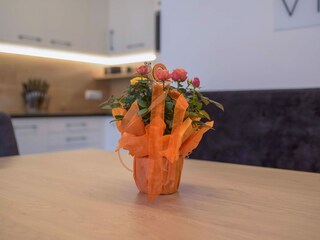 Appartamento Mauterndorf  40