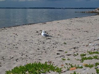 Maison de vacances Landskrona  36