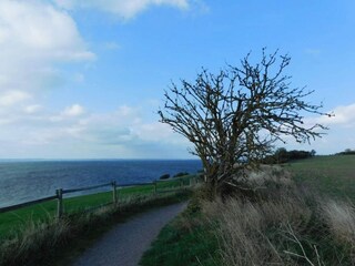 Maison de vacances Landskrona  46