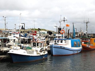 Ferienhaus Hvide Sande  43