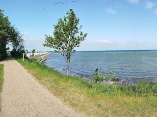 Holiday park Bogense  16