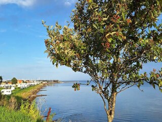 Vakantiepark Bogense  36