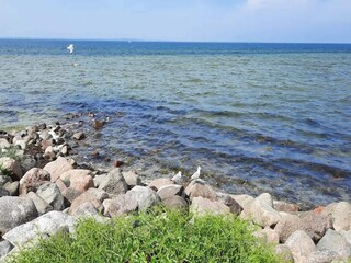 Parco vacanze Bogense  68