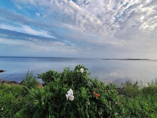 Parc de vacances Bogense  65