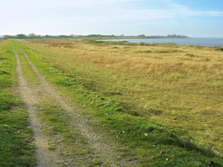 Holiday park Bogense  47