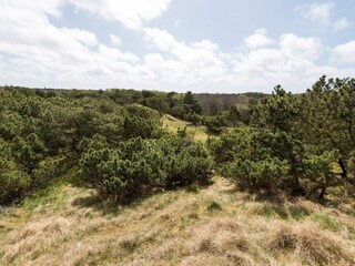 Vakantiehuis Fanø Bad  41