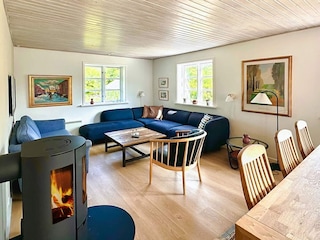 Ferienhaus Snogebæk  8