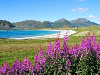 Vakantiehuis Alsvåg  12