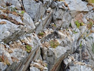 Ferienhaus Alsvåg  24