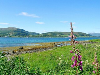 Holiday house Alsvåg Outdoor Recording 5