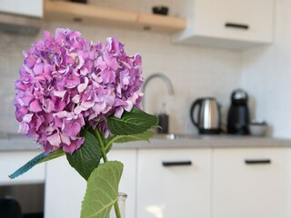 Chalet Monnickendam  22