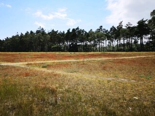 Parco vacanze Marielyst  78