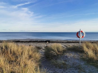 Vakantiepark Marielyst  32