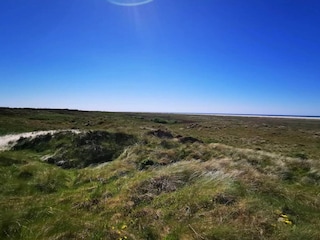 Ferienhaus Fanø Bad  30