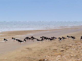 Ferienhaus Fanø Bad  18