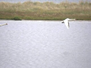 Casa de vacaciones Hou Grabación al aire libre 7