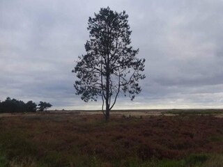 Vakantiehuis Hou Buitenaudio-opname 2