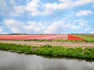 Vakantiehuis Sint Maartenszee Omgeving 32