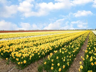 Casa per le vacanze Sint Maartenszee Ambiente 29