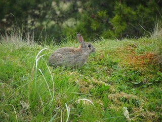 Ferienhaus Fanø Bad  45