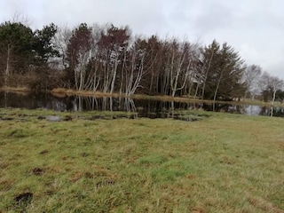 Maison de vacances Rødby  19