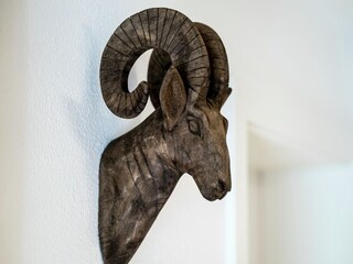 Ferienhaus Maishofen  19