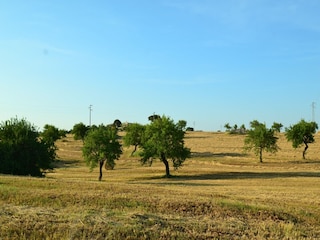 Villa Ostuni Umgebung 24